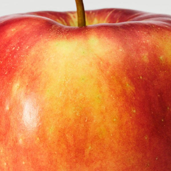Apple Polyphehols